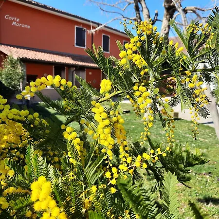 Casa vacanze Corte Morona
